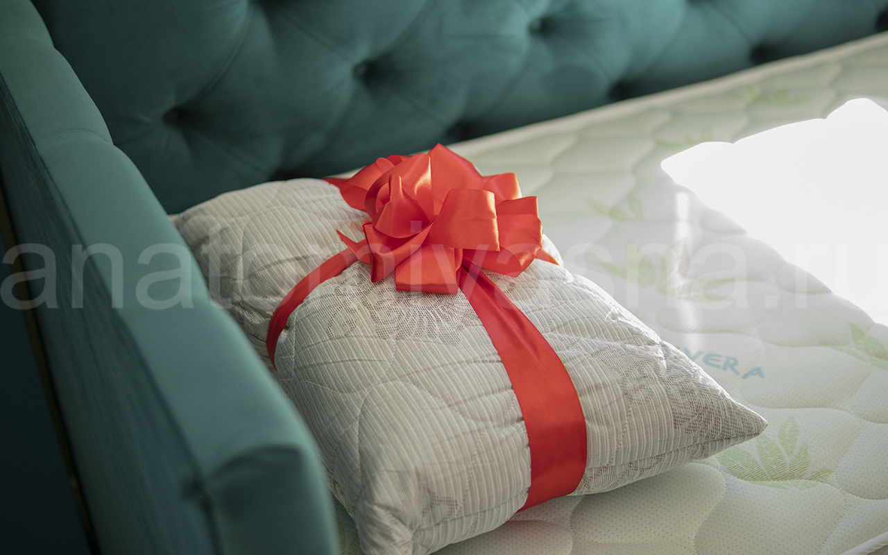 Dimax Молли фото 3